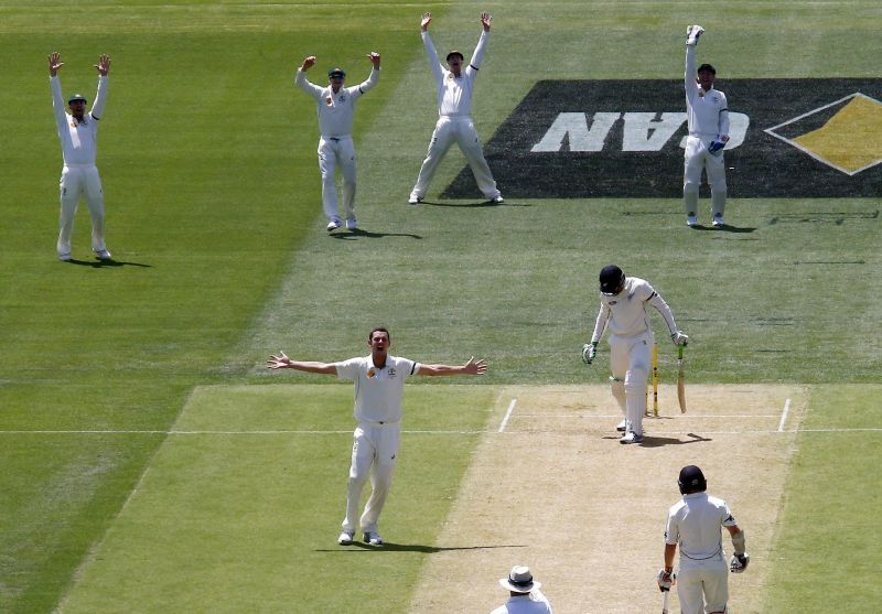 Josh Hazlewood successfully appealing for Martin Guptill&#039;s sismissal