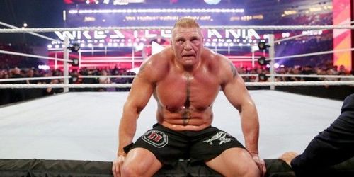 Brock lesnar