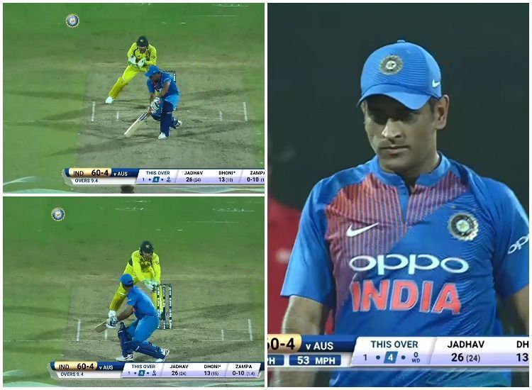 MS Dhoni Adam Zampa