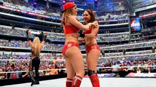 Nikki Bella and Brie Bella were a staple of the WWE's Women's division for several years