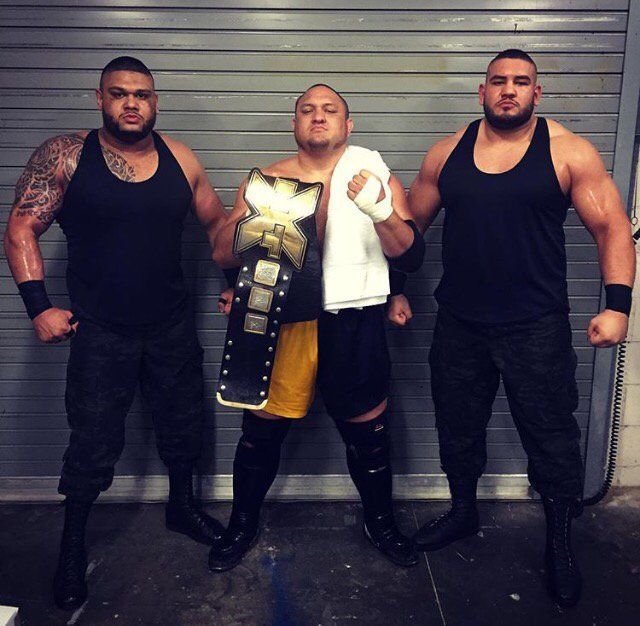 Image result for samoa joe and AOP