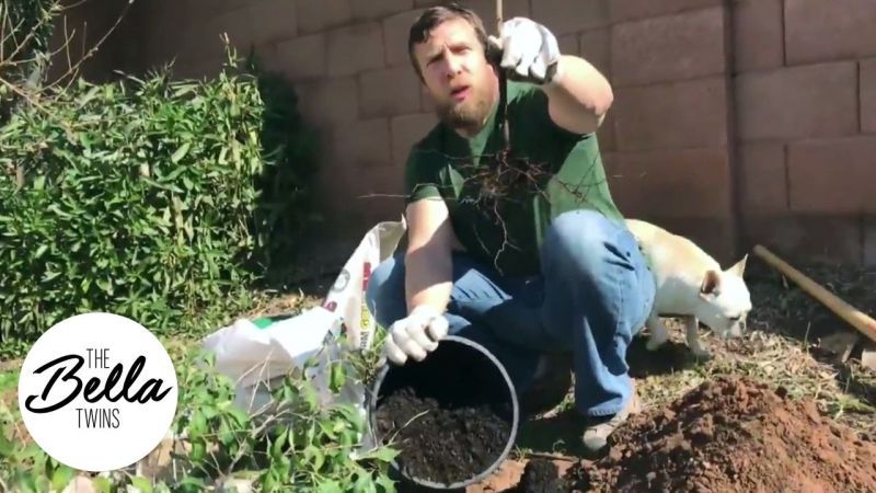 Daniel Bryan has always had a passion for gardening