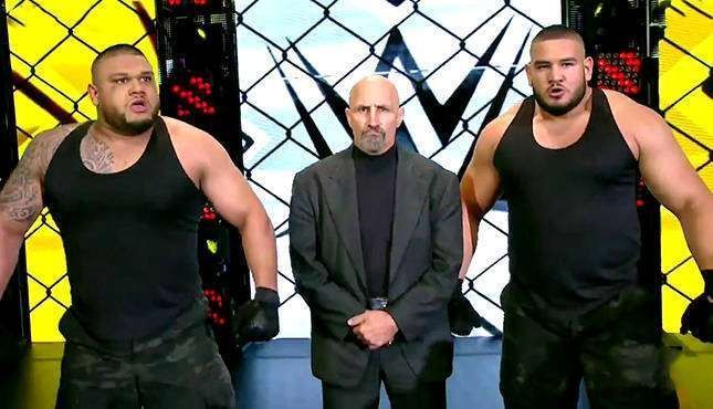 authors of pain