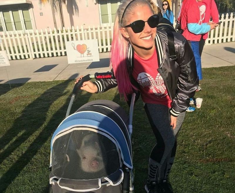 This pig has Alexa Bliss&#039; heart