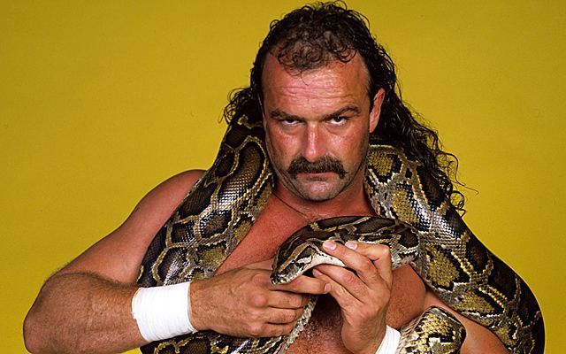 Jake Roberts holding a snake