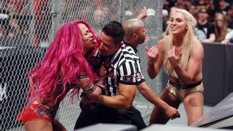 The first ever women's Hell in a Cell.