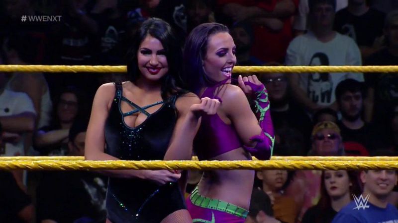 Peyton Royce and Billie Kay would bring something new to the women's division on the main roster