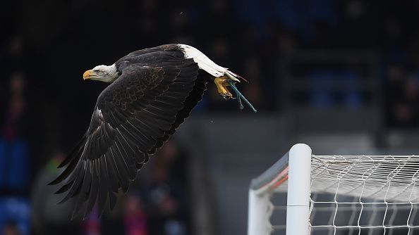 Crystal Palace v Burnley - Premier League