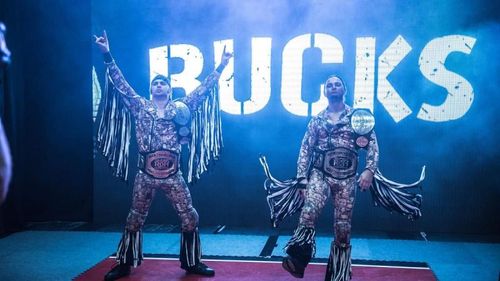 ROH is home to the world-renowned 'Young Bucks'