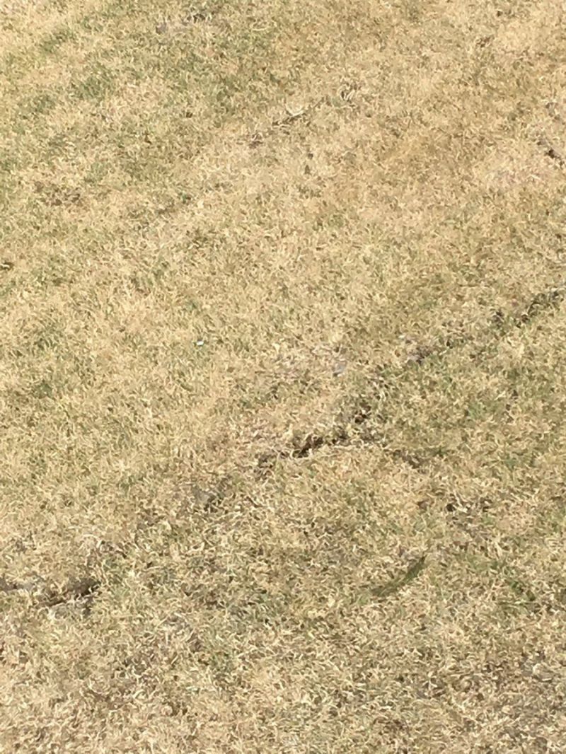 an image of a crack on the Wanderers pitch
