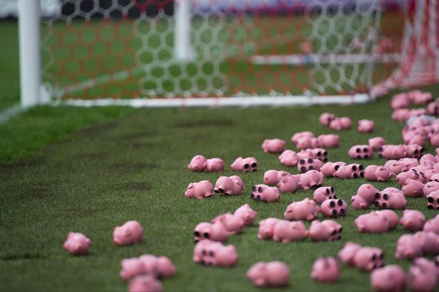 Fans of Coventry City have thrown plastic pigs onto the pitch to protest against owners SISU