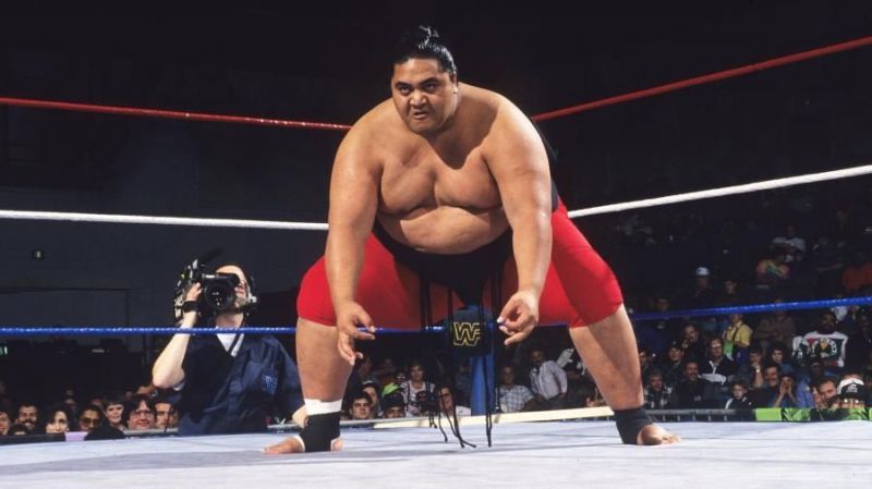 The huge Yokozuna before a match