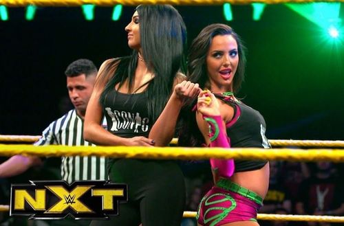 WWE's NXT brand generally features young prospects who're yet to break through into the big leagues