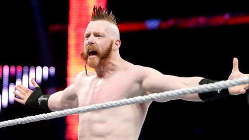 Image result for wwe ireland