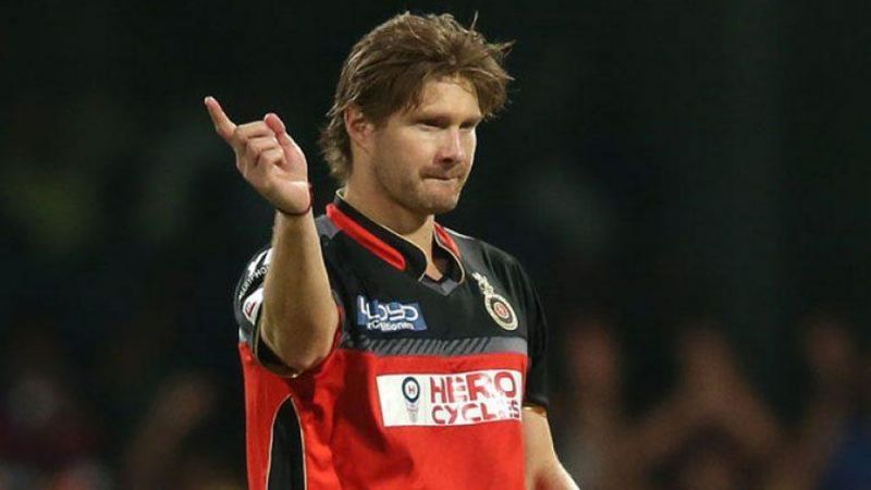 Enter caption Shane Watson: The Australian all-rounder scored only 71 runs in 8 matches last season