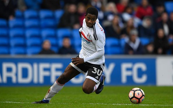 Cardiff City v Fulham - The Emirates FA Cup Third Round