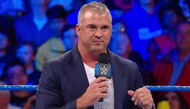 Image result for shane mcmahon