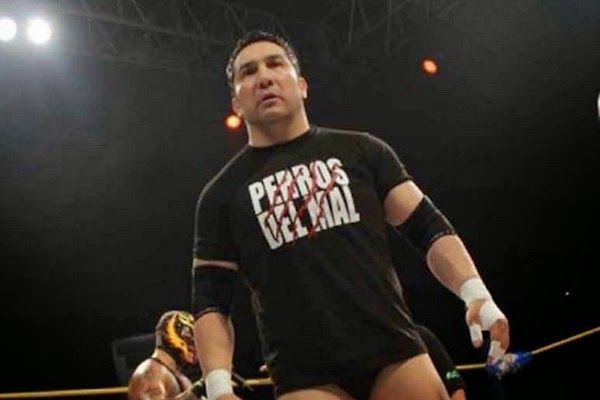 Perro Aguayo Jr.