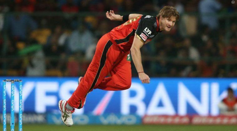 Image result for shane watson rcb