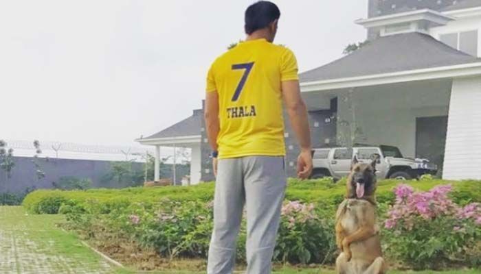 Image result for MS Dhoni csk jersey returns