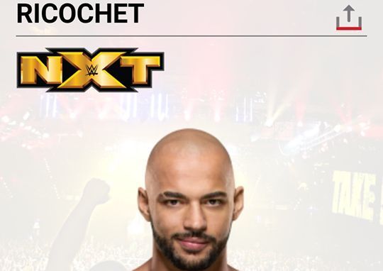 Ricochet is the name!