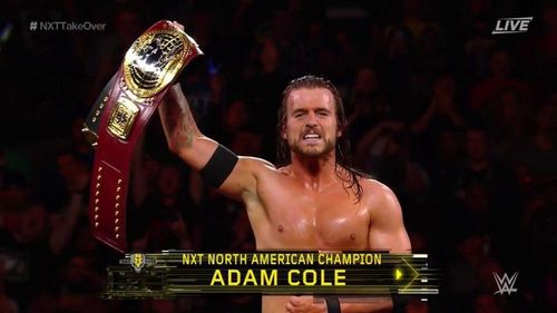 Adam Cole Bay Bay !