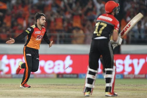 Rashid Khan celebrates the wicke