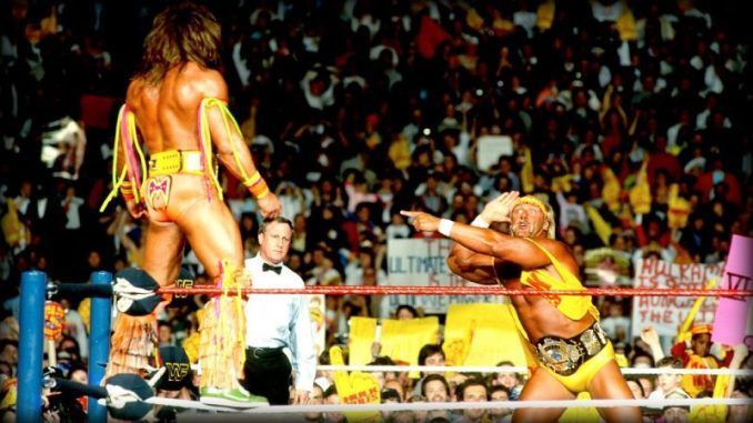 Hogan vs Warrior