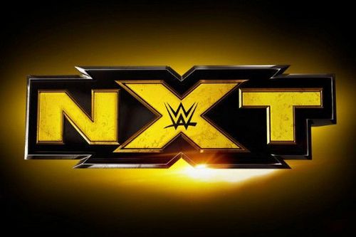 Which NXT stars have earn critical acclaim?