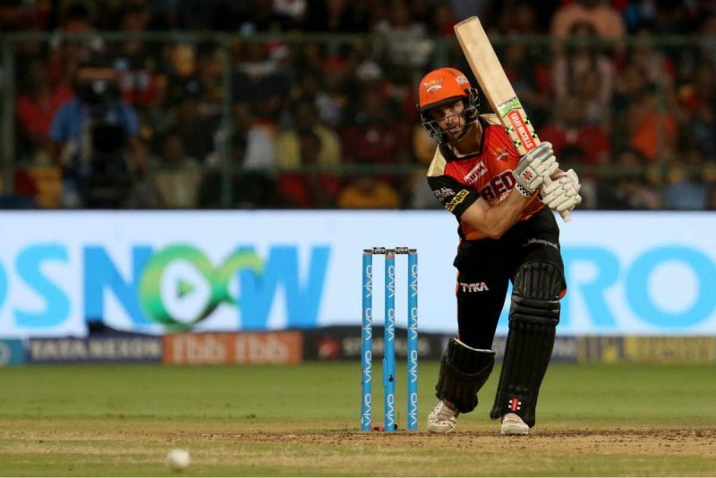 Man at work: Williamson has stamped his captaincy credentials courtesy of this year&#039;s IPL