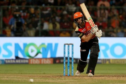 Man at work: Williamson has stamped his captaincy credentials courtesy of this year's IPL