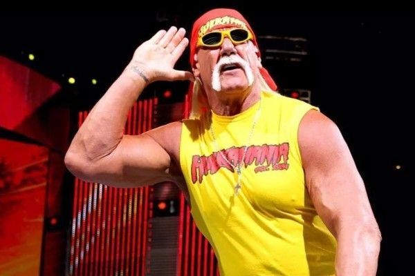 The Hulkster Hulk Hogan