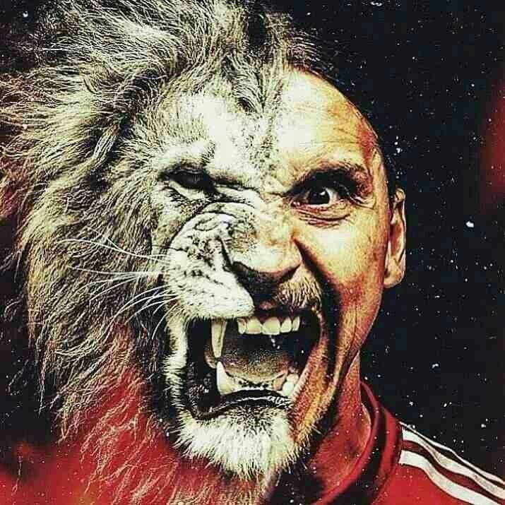 A true Lion