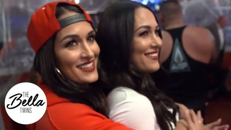 Image result for the bella twins on raw august 27