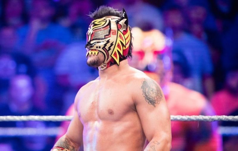 Lince Dorado suffered a ruptured thumb ligament