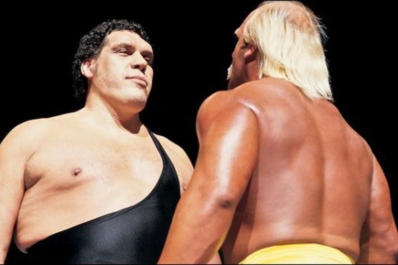 Hogan Vs Andre