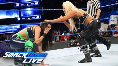 Image result for brie bella vs maryse