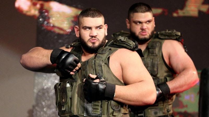 The Authors of Pain are yet to be involved in any solid storyline on the Raw roster