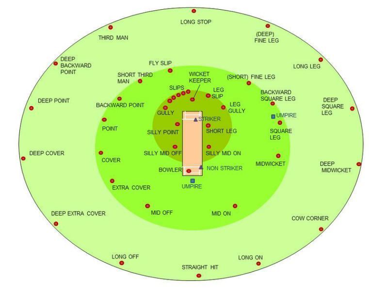 Graph for all the fielding positions