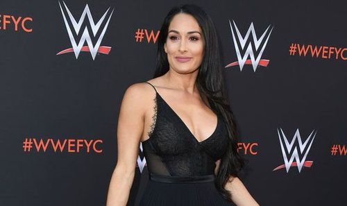 Image result for nikki bella