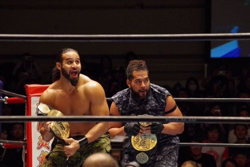 Tama Tonga and Tanga Loa are surely not messing around 