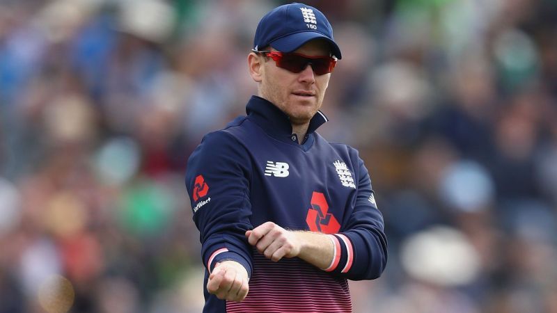 Image result for Eoin Morgan