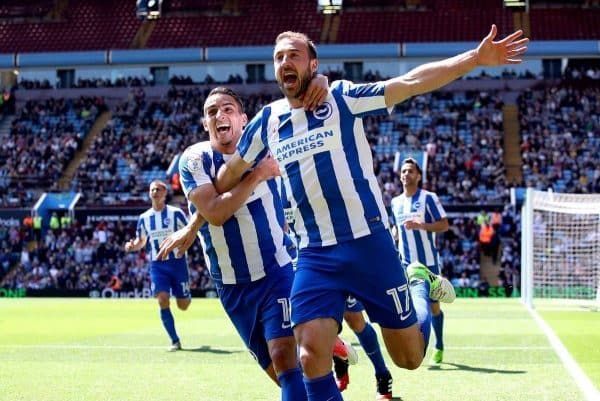 Image result for brighton fc