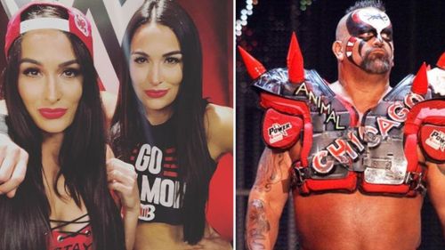 In this article, we look at 3 WWE wrestlers you didn't know are related...