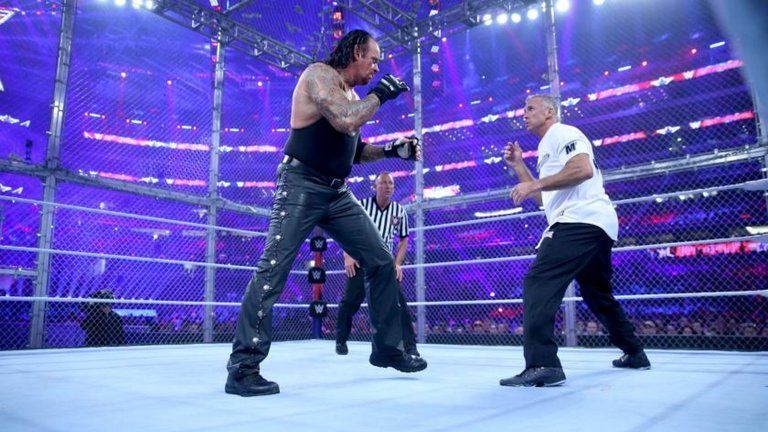 What was the point in Undertaker vs Shane McMahon?