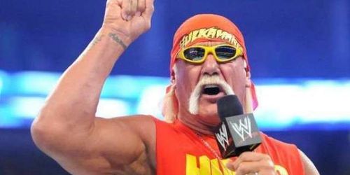 There is a reason why Hogan became a top star