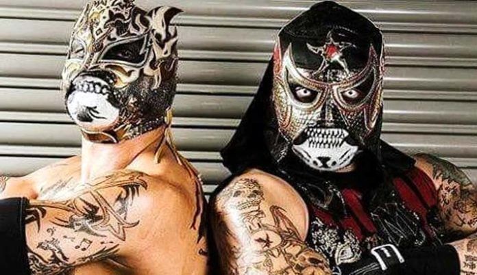 Rey Fenix and Pentagon Jr. (Lucha Brothers)