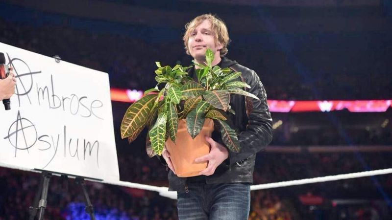 Dean Ambrose and his dearly beloved, the late great Mitch The Plant