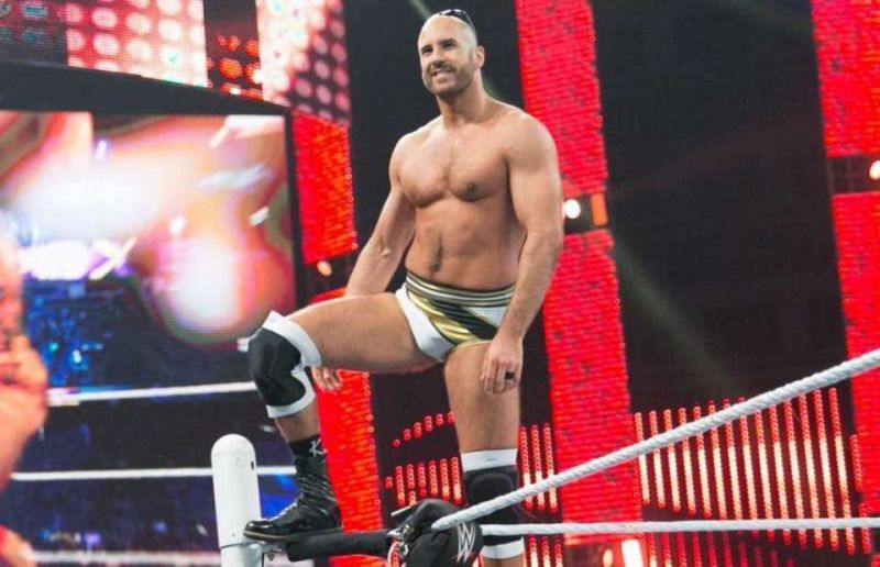 Image result for cesaro