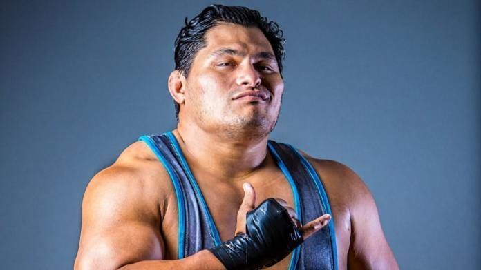 Jeff Cobb, Ring of Honor World Television Champion